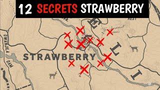 12 Secrets Unique Items & Things You Should Do In Strawberry - Red Dead Redemption 2