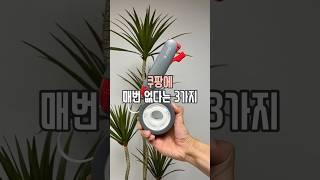 쿠팡 매번 없다는 3가지 #살림남