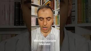 Mevlana Gözüyle Mesnevi...