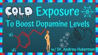 Those Are HUGE Increases  Shocking Cold Exposure Studies with Dr. Andrew Huberman