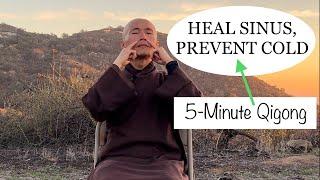 HEAL SINUS PREVENT COLD  5-Minute Qigong Massage