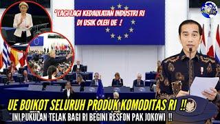 UE Berlakukan BOIKOT untuk Seluruh Produk RI  Pukulan Telak Bagi RI ? Begini Resfon Pak JOKOWI 