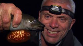 Catching A Longfin Eel  EEL  River Monsters