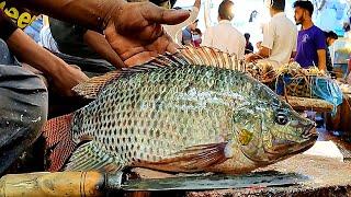 Amazing Cutting Skills  Live Big Tilapia Fish Cutting By Expert Fish Cutter