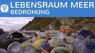 Bedrohung & Zerstörung des Lebensraums Meer - Klimawandel Plastikmüll Abwasser Tourismus