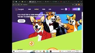 بررسی ارز corgiai  آیا کرگی corgi کلاهبرداری است؟