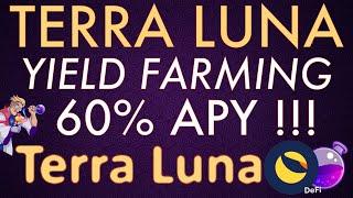 How To Yield Farm Terra LUNA Crypto For High Yields Complete DEFI Guide 2022