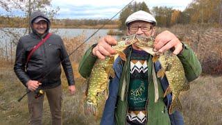 ЛОВЛЯ ЩУКИ на ЖИВЦА и ПОПЛАВОК РЫБАЛКА на ЖИВЦА с УДОЧКОЙ