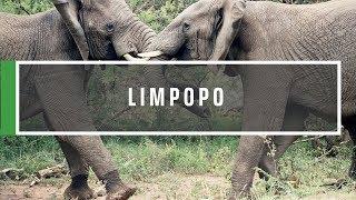 GVI - Limpopo