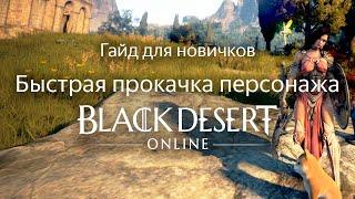 Гайд для новичков по прокачке и развитию персонажа БДО BDO  Black Desert Online