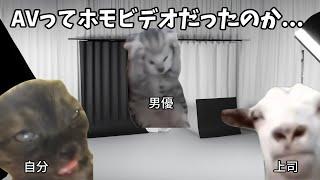 【初出勤編】ノンケがゲイビデオの制作会社でアルバイトを始めた話 #猫ミーム  #猫マニ