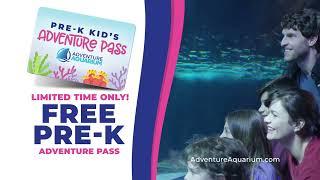 ADVENTURE AQUARIUMS FREE PRE-K KID PASS IS BACK