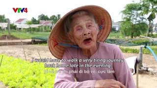 Vietnam - Tanah - Masyarakat - Cinta di Desa Sayur Tra Que