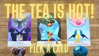  ALL THE TEA ABOUT YOUR SP  How does heshe feel about you today?  LOVE PICK A CARD Tarot