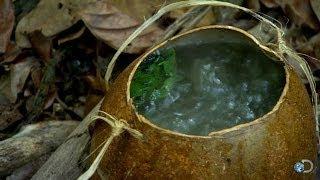 DIY Survival Brewing Tea in the Jungle  Dual Survival