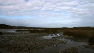 Time Lapse of South Carolina Salt Marsh