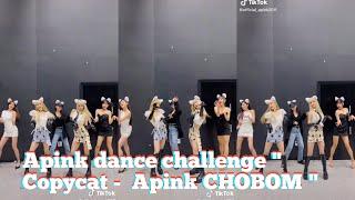 Apink dance challenge  Copycat -  Apink CHOBOM 