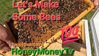 Making A Spring Split  Success and Failures    #HoneyMoneyTV