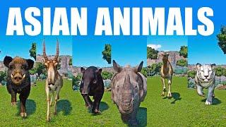 Asian Animals Category Speed Races in Planet Zoo included Tiger Camel Tapir Boar Saiga Rhino