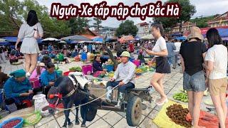 Ngựa Xe tấp nập chợ phiên Bắc Hà sau bão lũ- Dân bản phấn khởi gồng gánh ra chợ