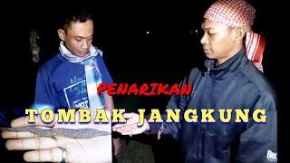 Penarikan TOMBAK JANGKUNG