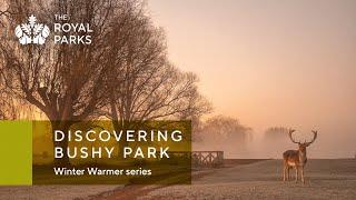 Winter Warmer talks 2324 - Discovering Bushy Park