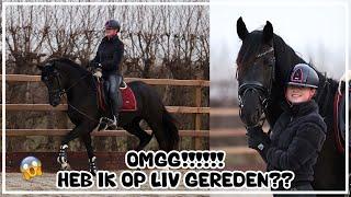 OMG HEB IK OP LIV GEREDEN? #joanneneidhoferhorses #vlog409