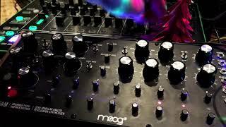 MONOPOWER DFAM TECHNO JAM WITH TR-8 HELP