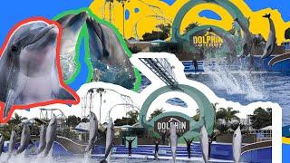 The Dolphins Show  Must watch SeaWorld  Watch 10+ dolphins in a playful mood + Special Appearance