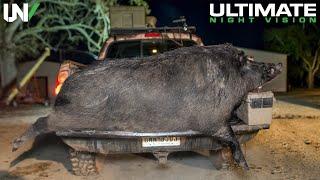 A Hunt Like This May Never Happen Again  Hogzilla Found In Texas