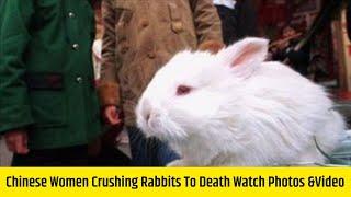 Chinese Women Crushing Rabbits To Death  Watch Photos &Video Of Crush Rabbit Sequel Leaked Video