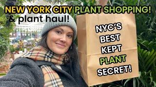 New York Citys Best Kept Secret Plant Shops In the Flower District - Plant Shopping & Plant Haul