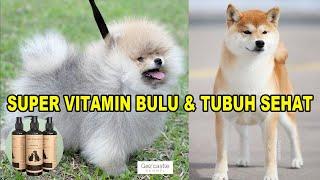 SUPER VITAMIN UNTUK BULU & TUBUH SUPER SEHAT - UNTUK ANJING & KUCING