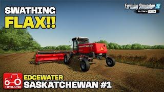 SWATHING FLAX Edgewater Saskatchewan FS22 Timelapse # 1