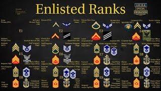 US Military All Branches ENLISTED Ranks Explained