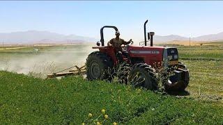 برداشت یونجه hay harvest