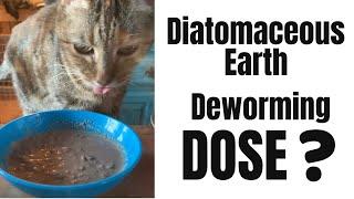 How to Dose Diatomaceous Earth for Deworming Dogs and Cats