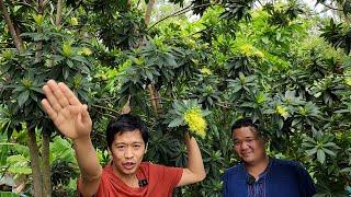 วิธีสร้างรายได้งาม รังละพัน  เอิร์ธสดชื่น สร้างอาชีพ นนทบุรี