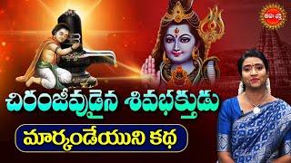 The story of Bhakta Markandeya  చిరంజీవుడైన శివభక్తుడు మార్కండేయుని కథ.. Lord Shiva  Eha Bhakthi