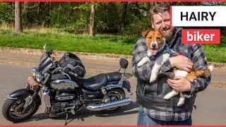 Meet Cookie the MOTORCYCLE dog  SWNS TV