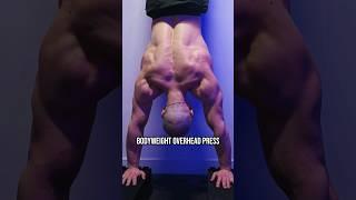 Handstand Pushups For Side Delts?