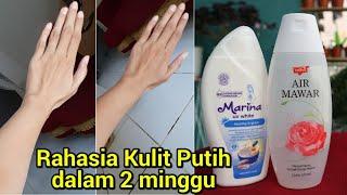 LOTION PEMUTIH BADAN PERMANEN  Racikan Handbody Marina dan Air Mawar  CARA MERACIK HANDBODY