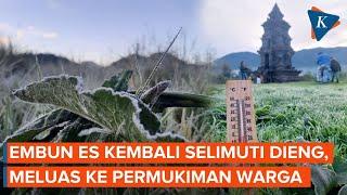 Penampakan Embun Es Selimuti Dieng Meluas ke Permukiman Warga