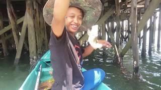 MANCING IKAN TOMPEL DI LAUT DANGKAL