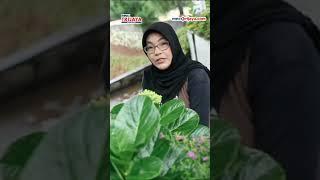 Hikmah Bersama Bunda Bening 22 April 2024 - Episode 23