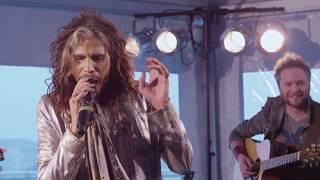 Steven Tyler - I dont want to miss a thing Acoustic