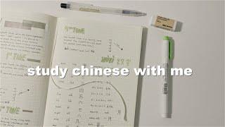 study mandarin chinese with me  from absolute beginner to still having no idea what im doing D