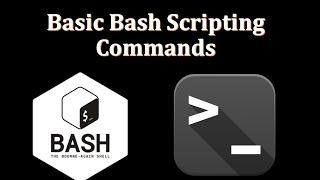 Bash Scripting Tutorials  Basic Bash Scripting Commands