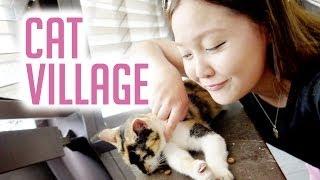 TAIWAN TRAVEL VLOG  Cat Village Houtong 侯硐貓村