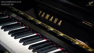 Yamaha U3 Black Upright Piano H 2657272  Comparison Demonstration Sherwood Phoenix